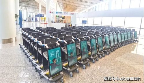 科技赋能新航程 数十家一线品牌智能物料搬运装备亮相海口机场
